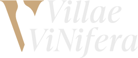 Villae ViNifera