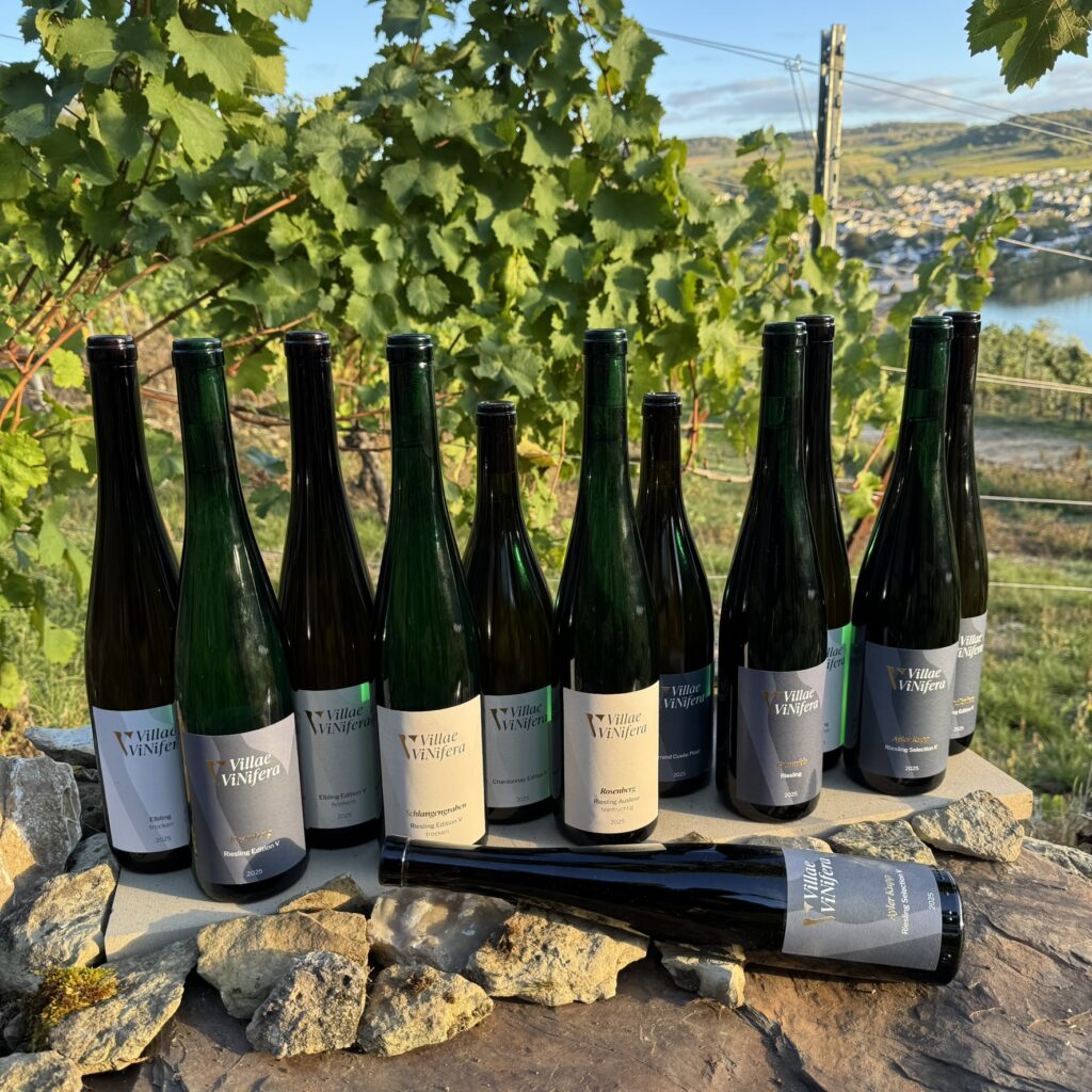 Kalk & Schiefer – Großes Probierpaket